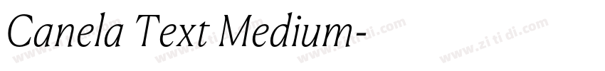 Canela Text Medium字体转换